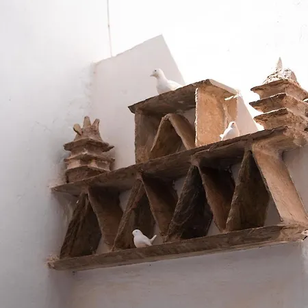 בית הארחה Aggelikoula